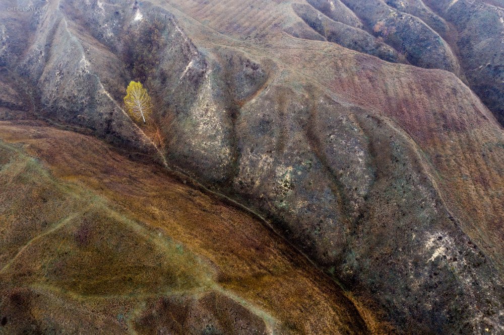 Photograph by Sergii Chepulskyi