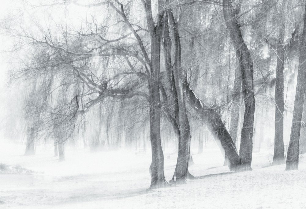 Photograph by Sergii Chepulskyi