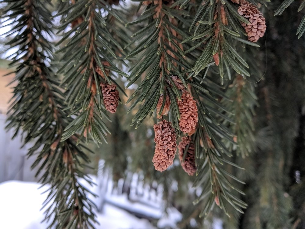 Photograph by Наиль Шакиров