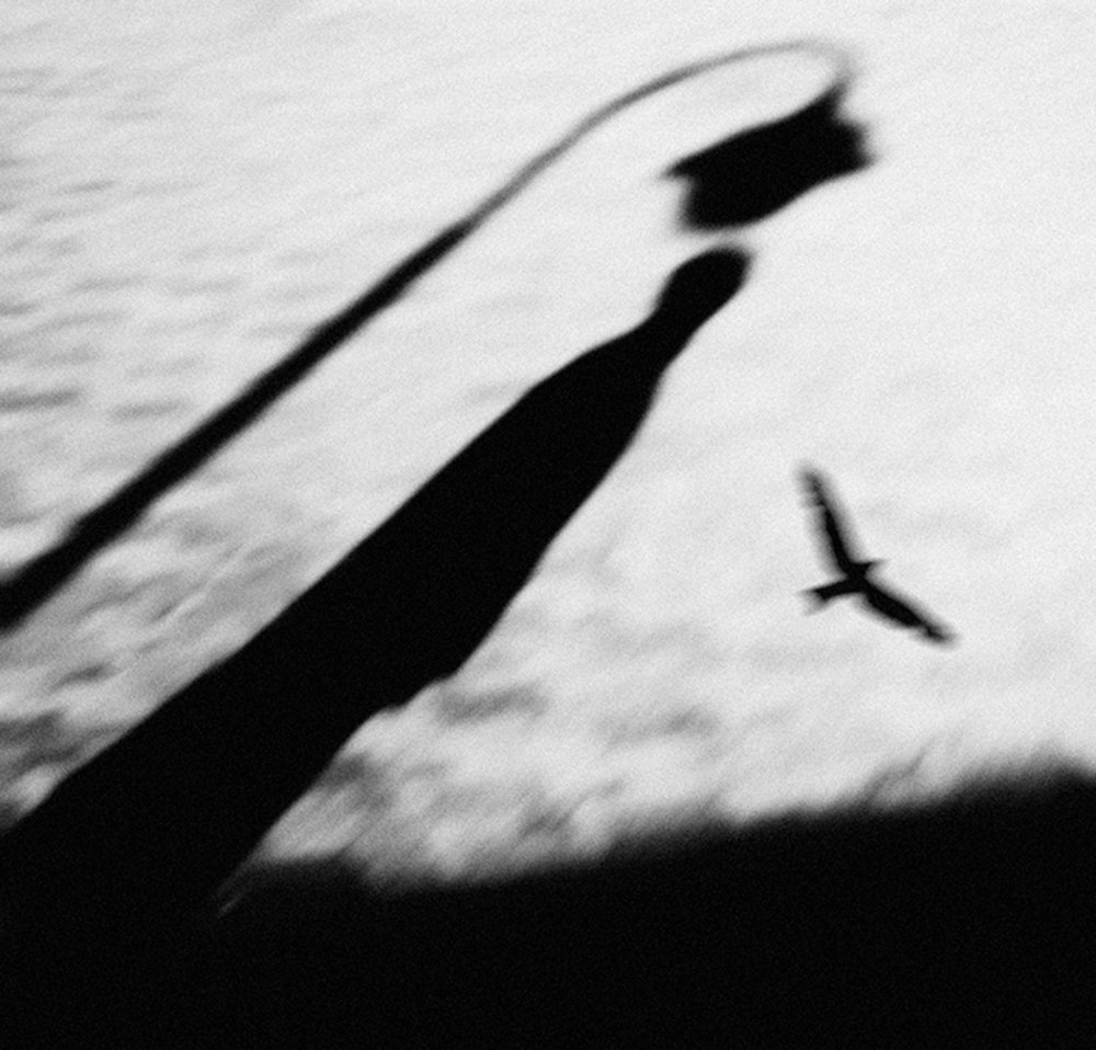 Photograph by Sergii Chepulskyi