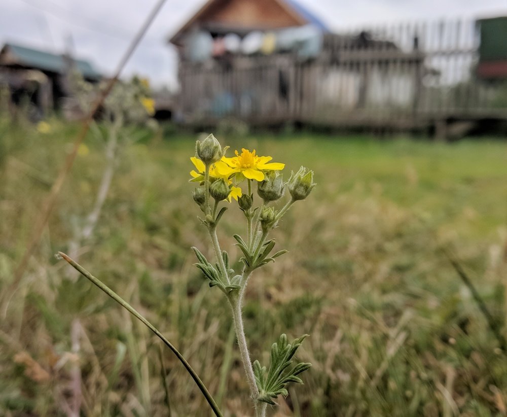 Photograph by Наиль Шакиров