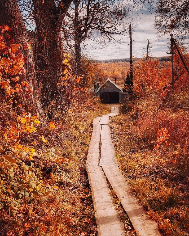 Photograph by Анна Каменева