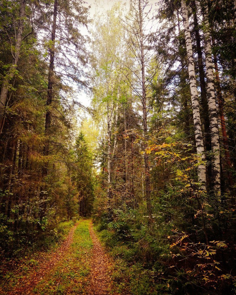 Photograph by Анна Каменева