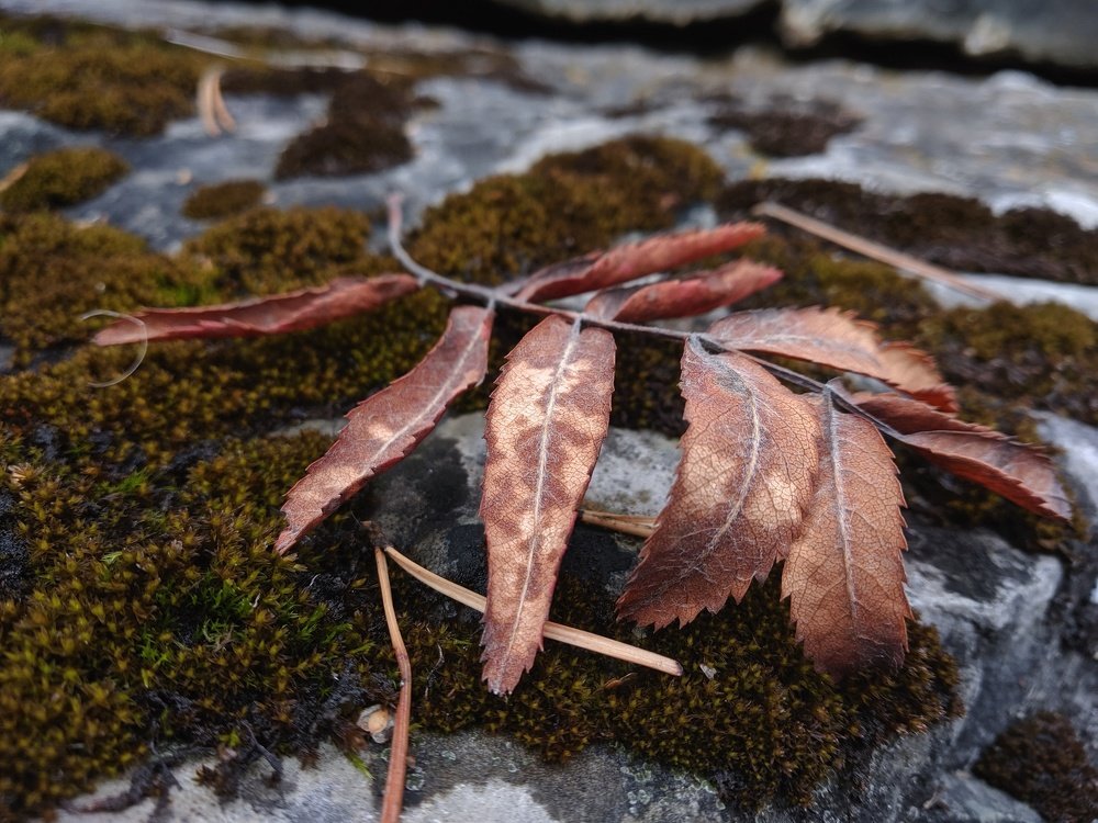 Photograph by Наиль Шакиров