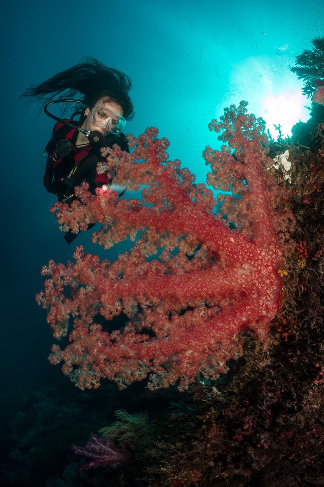 Photograph by Анатолий Белощин