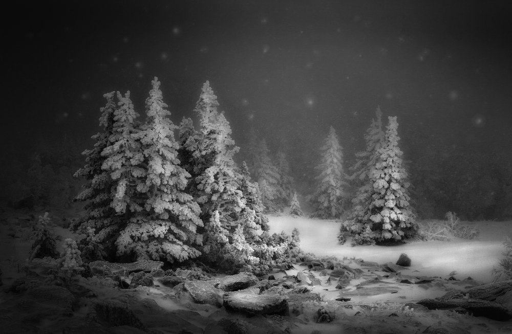 Photograph by Татьяна Бирюкова