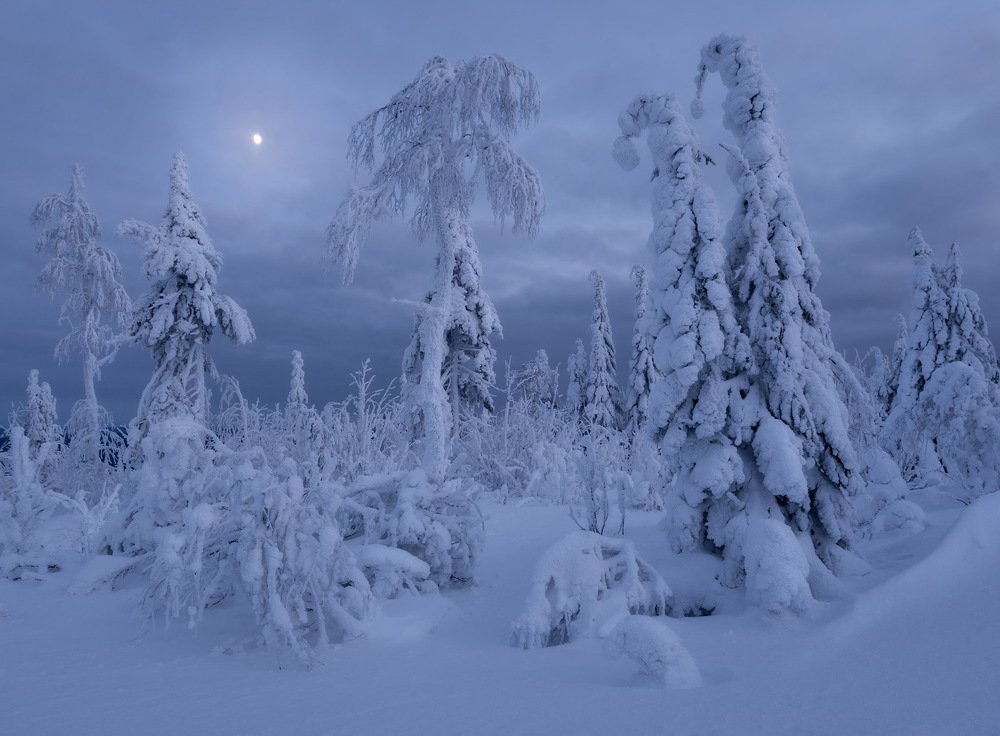 Photograph by Николай Обухов