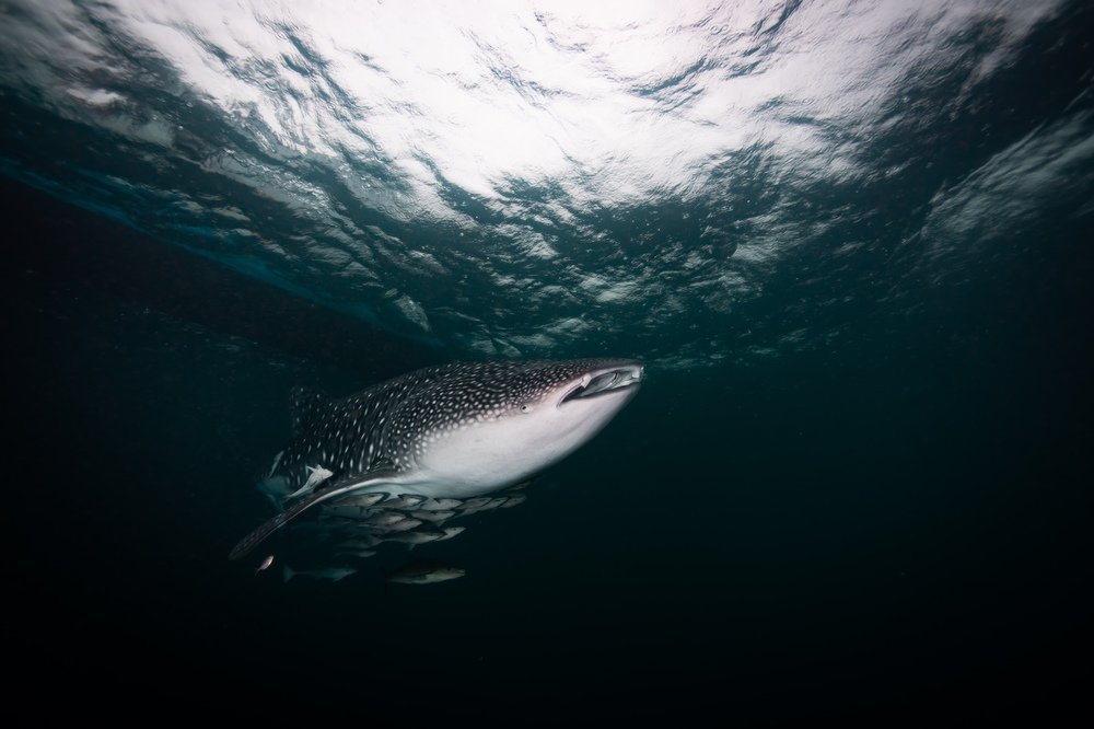 Photograph by YongHoon Choi