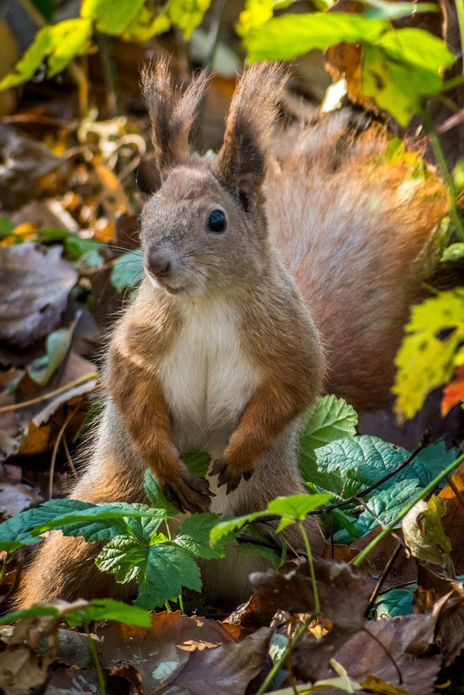 Photograph by Budnik Dmytro