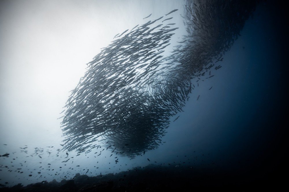 Photograph by YongHoon Choi