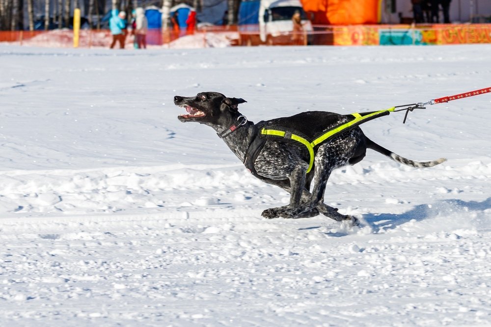 Photograph by Светлана Глебова