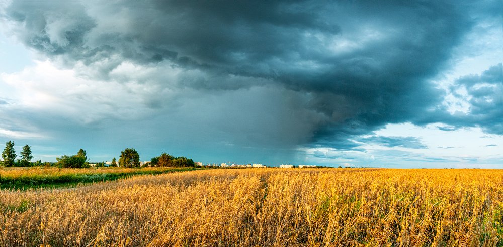 Photograph by Андрей Алсуфьев