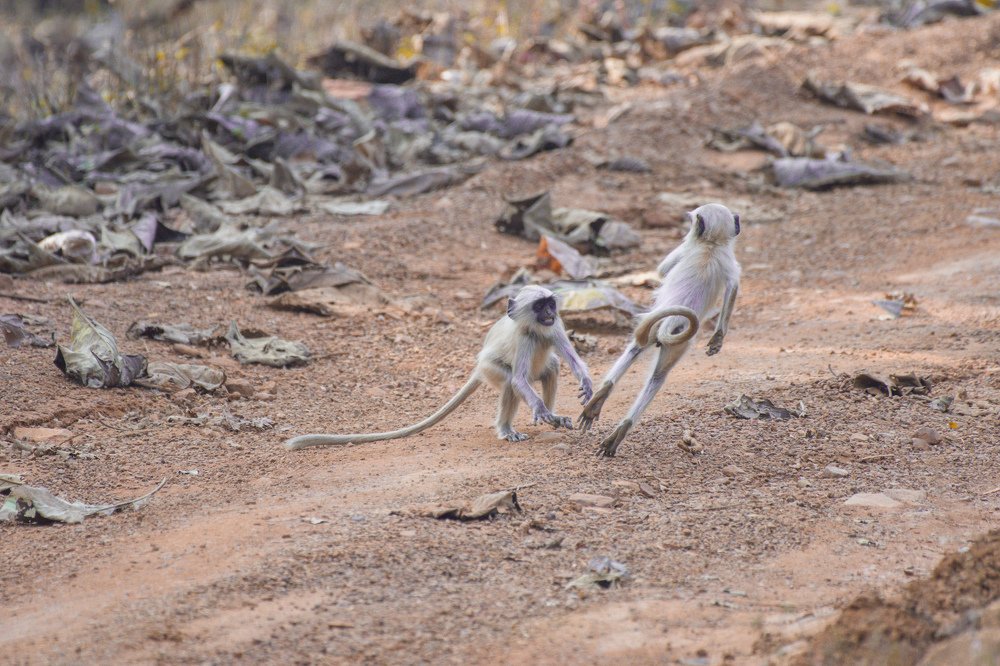 I believe i can fly....