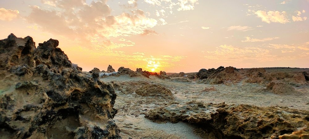 Photograph by DEEPU SASIDHARAN