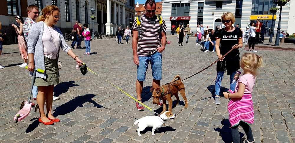 не до знакомства..мороженое хочу