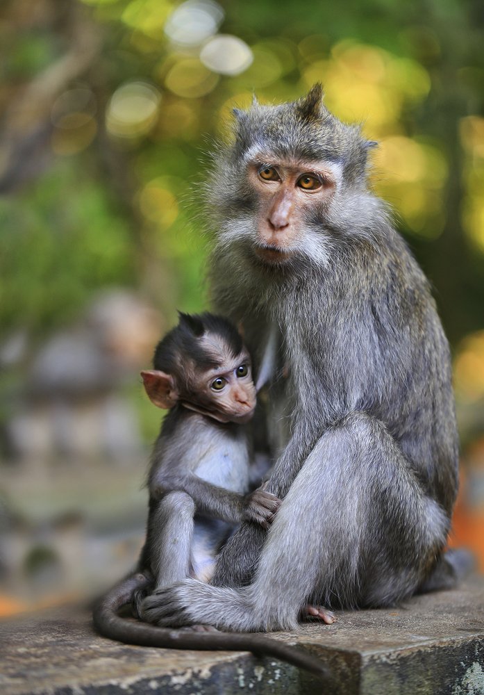 Мама с малышом