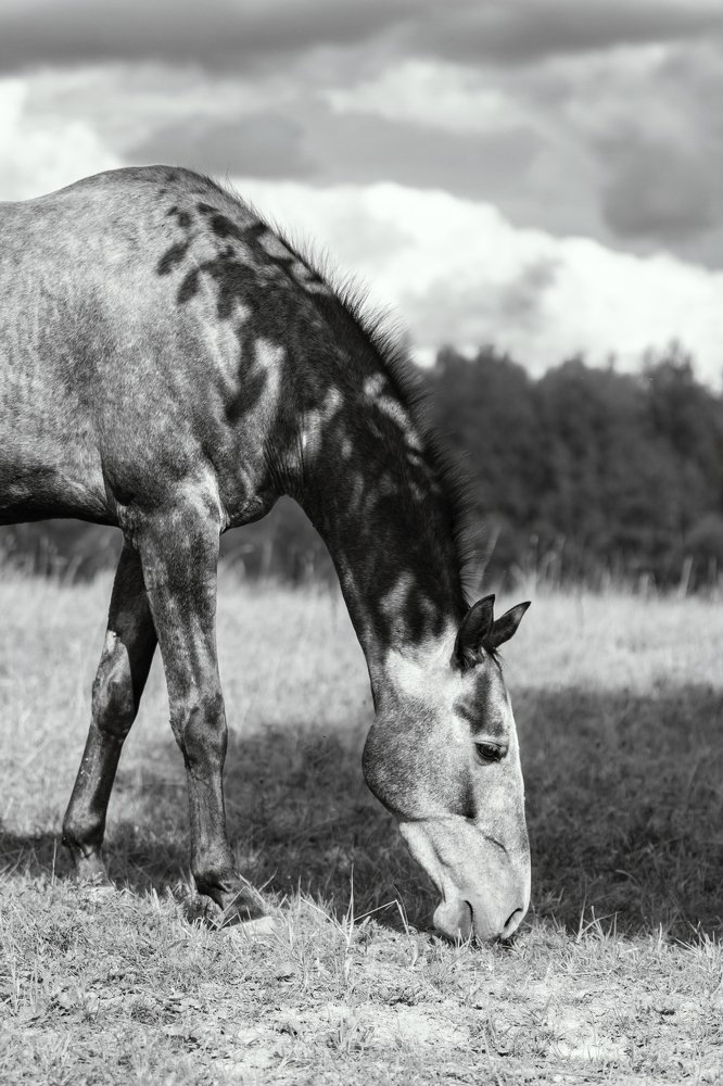 Photograph by Юлия Дудкова