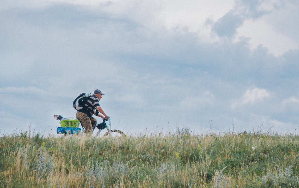 Верный друг