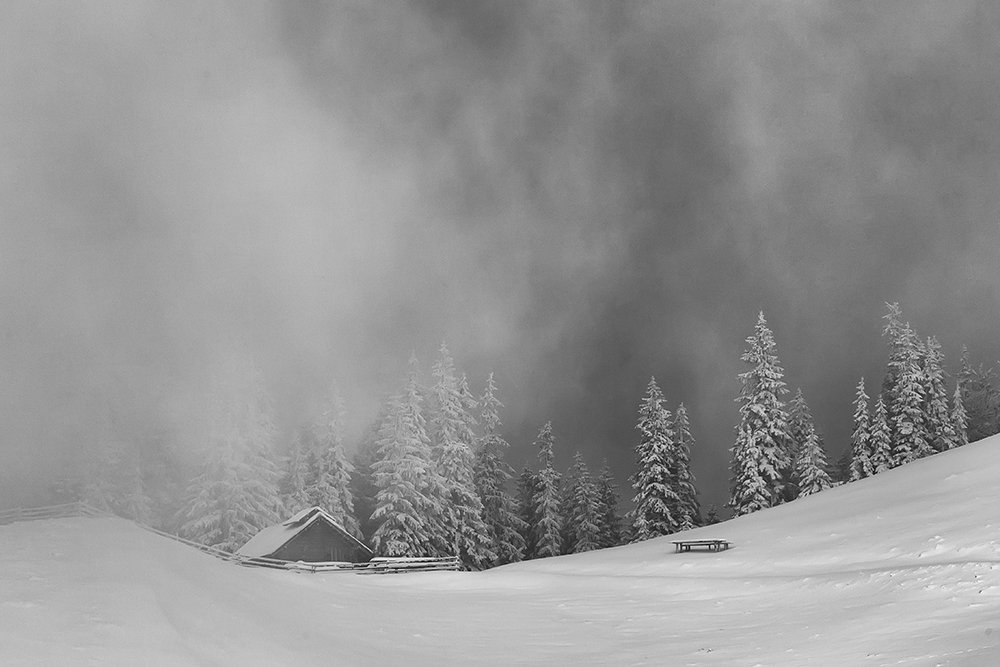 Winter fog