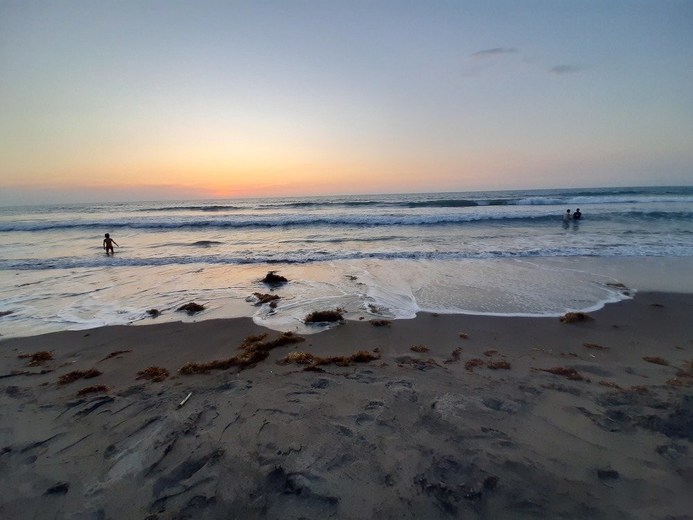 Photo #4233468