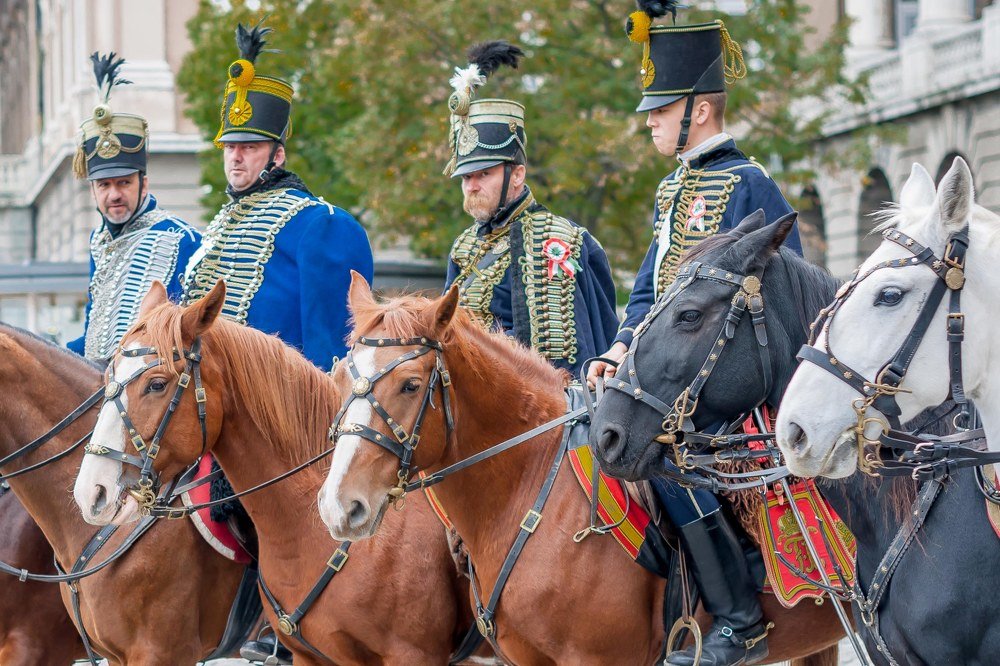 Photograph by Елена Венкова