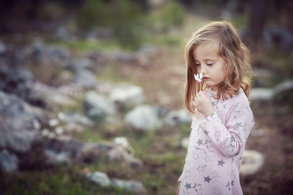 Фотография автора Сергей Гринис