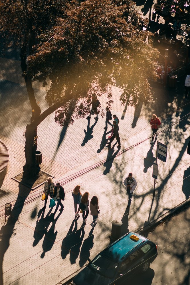 Photograph by Елена Демина