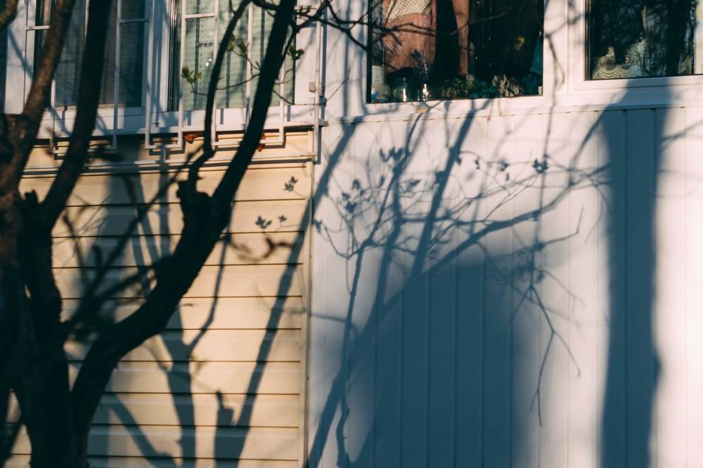 Photograph by Елена Демина