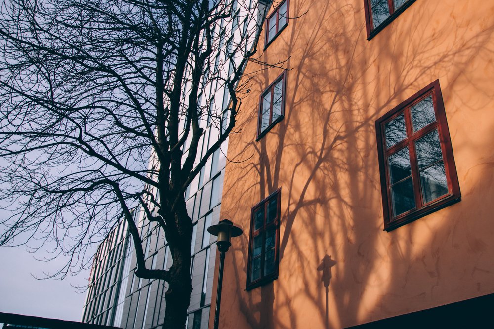 Photograph by Елена Демина