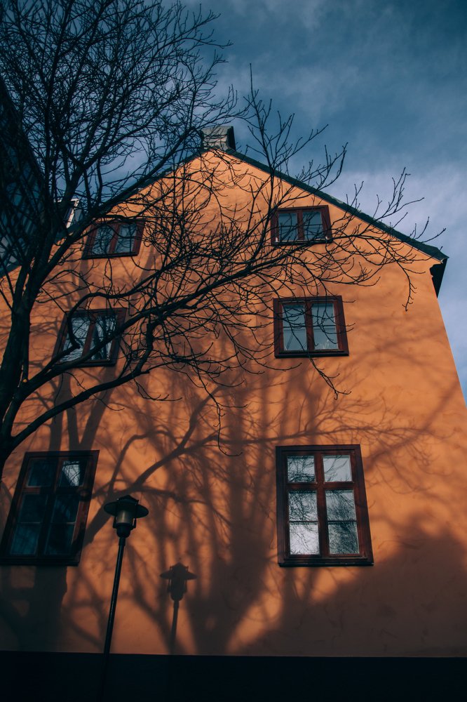 Photograph by Елена Демина