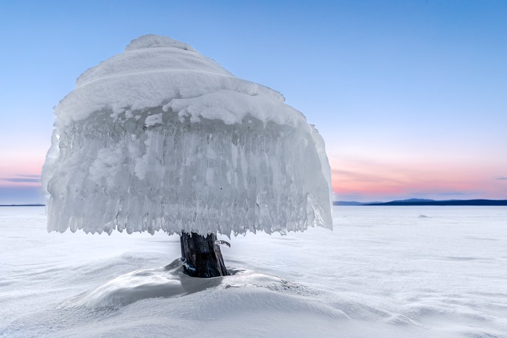 Photograph by Логунов Максим