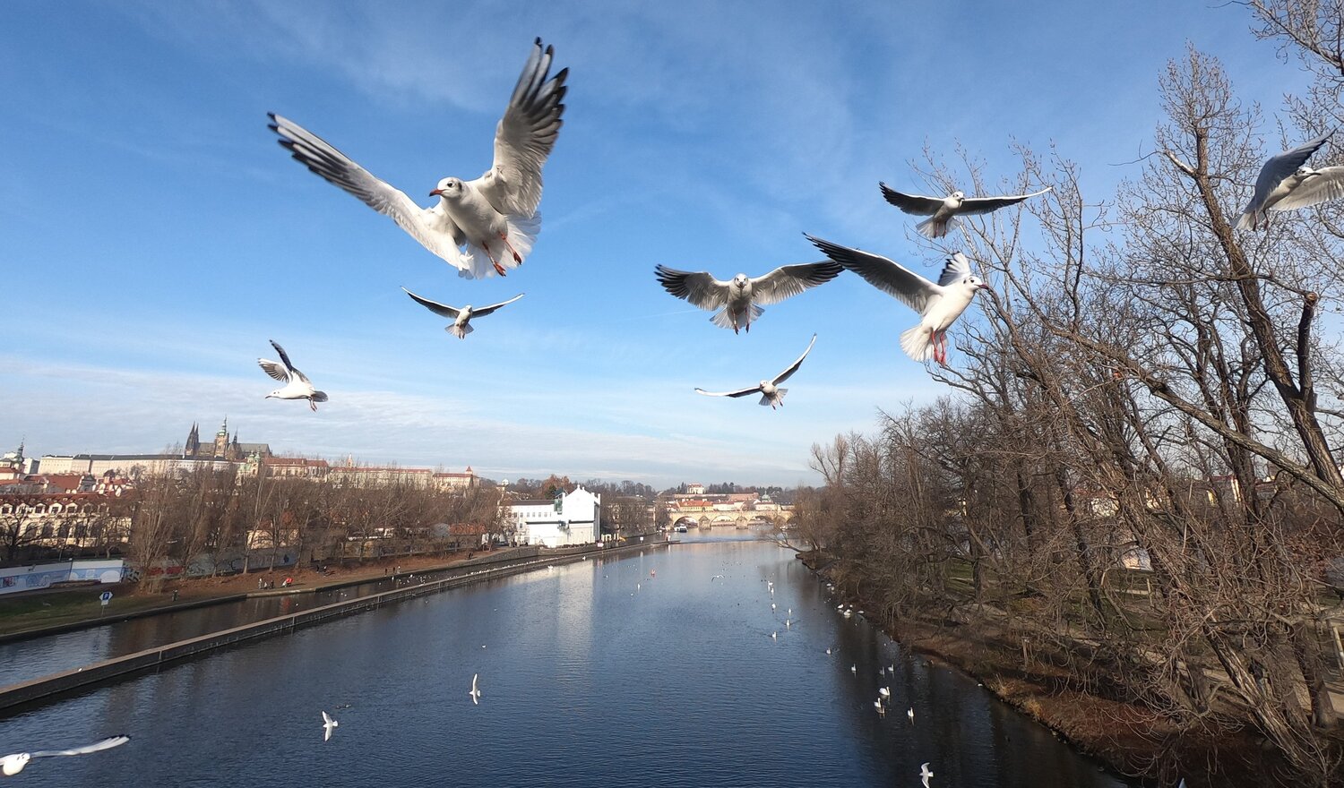 Photo #4233746