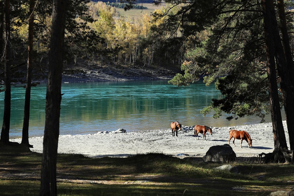 Photograph by Шаталина Оксана