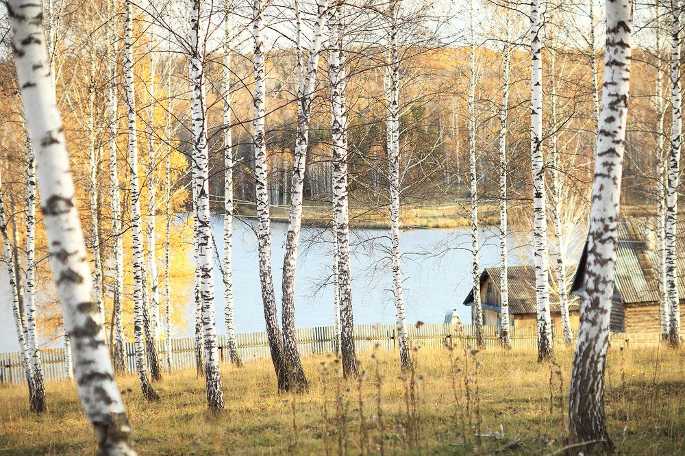 Photograph by Шаталина Оксана