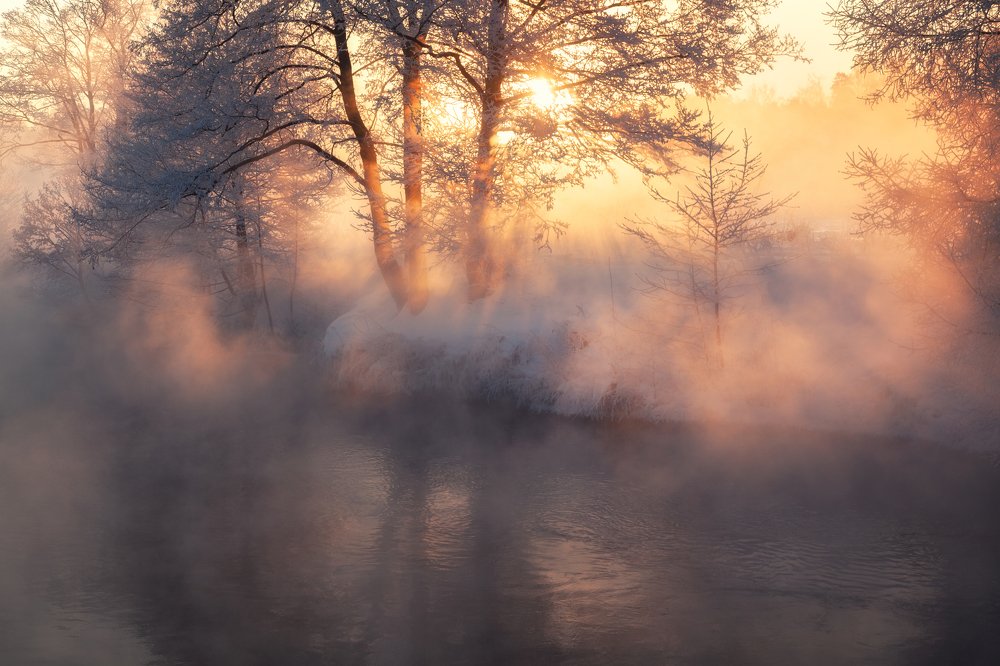 Зимний рассвет в Подмосковье