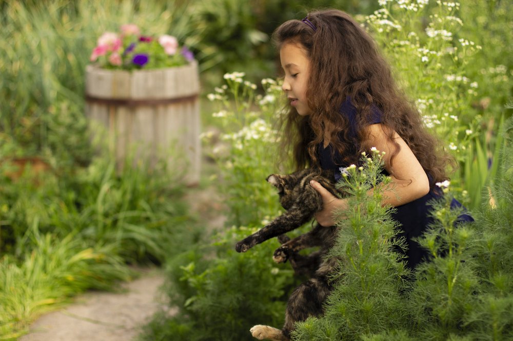 Котик, идем домой!