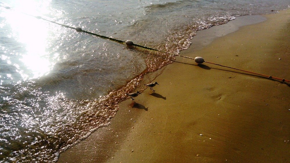 Photograph by Ольга Пришедько