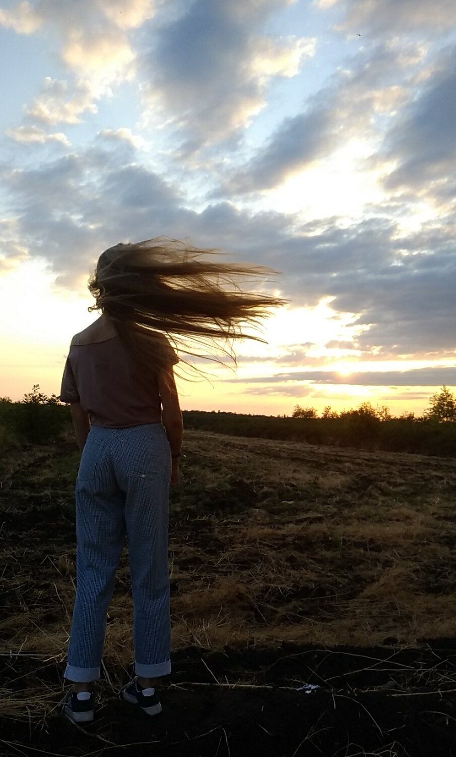 Photo #4234046