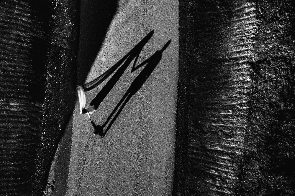 Photograph by Andrzej Pala