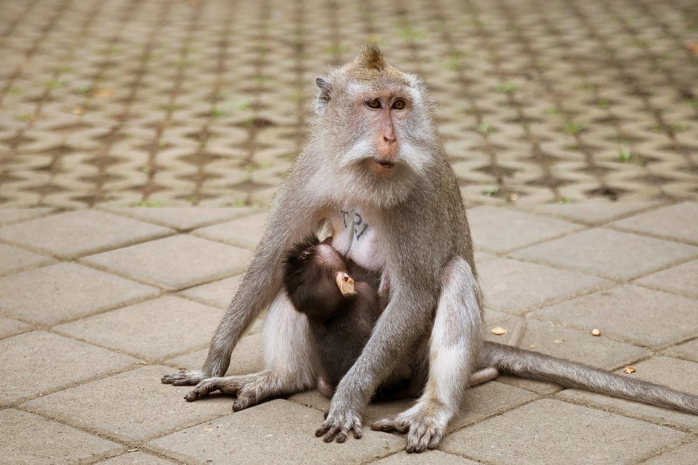 Photograph by Екатерина Коченкова