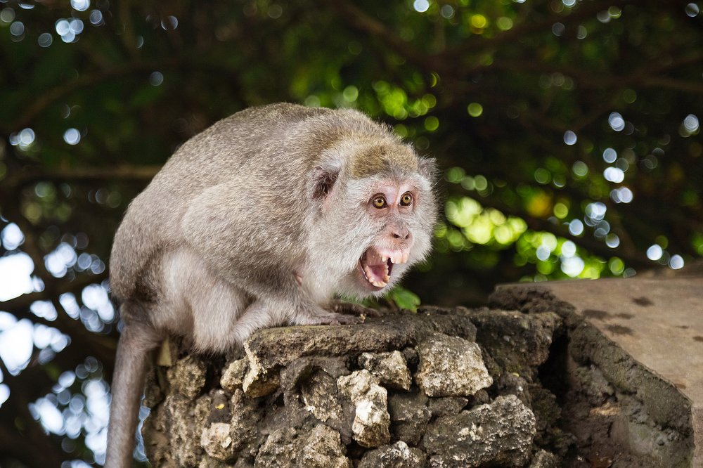 Photograph by Екатерина Коченкова