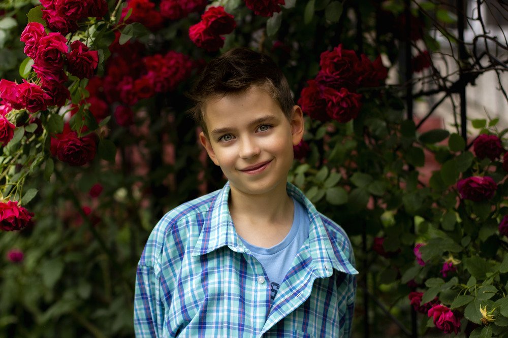 Дачные будни