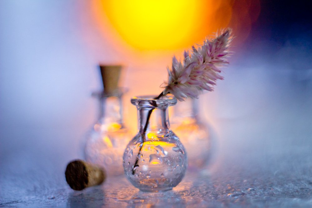 В солнечном свете