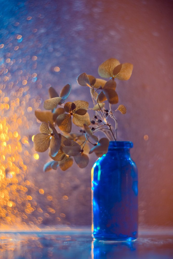 Photograph by Алла Семенова