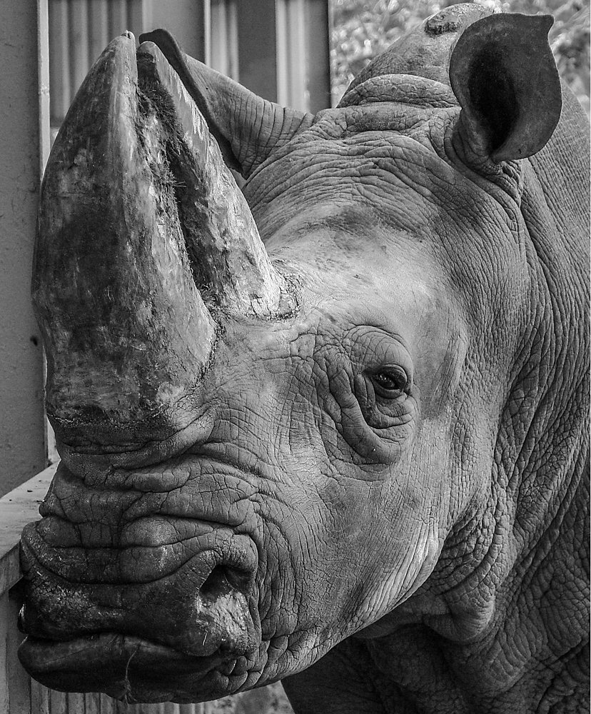 Photograph by Ludmila Buyanova