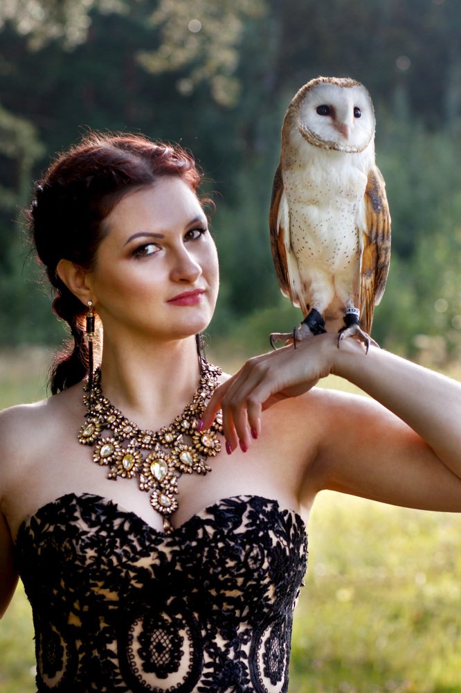 О лесной принцессе и сове