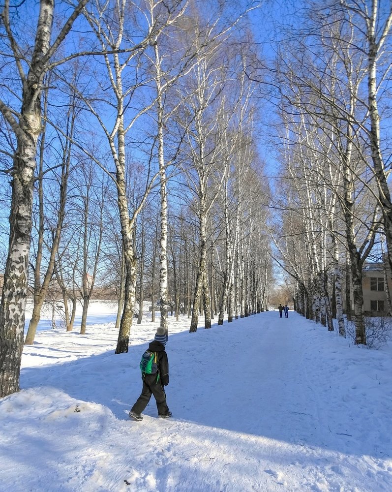 Сепарация теней...