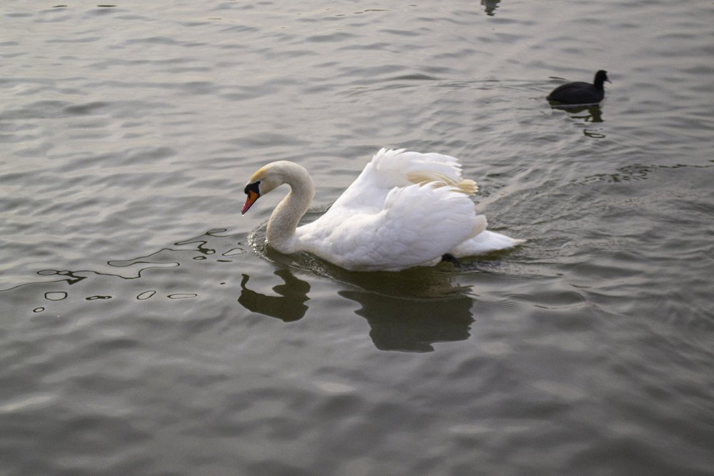 Photograph by Юлия Водонос