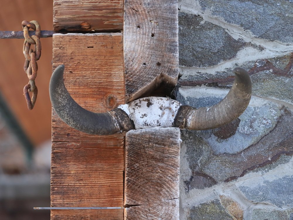 Photograph by Андрей Телибаев