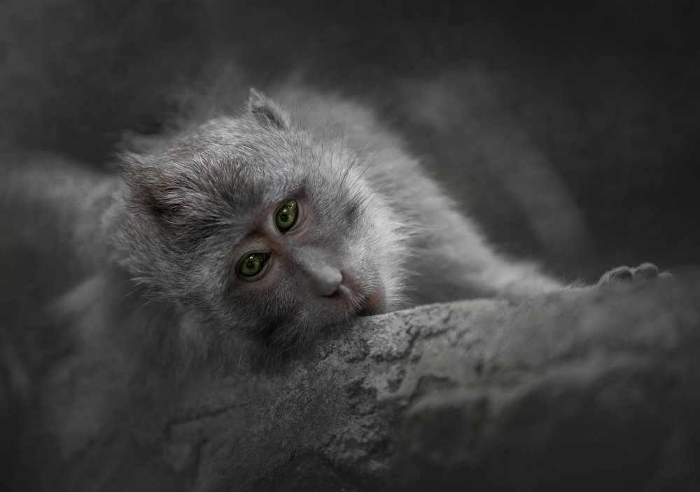 Photograph by Valentina Gibert